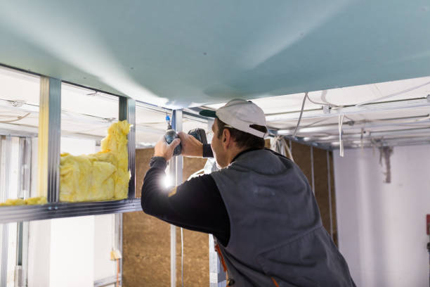 Best Spray Foam Insulation  in Westminster, CO