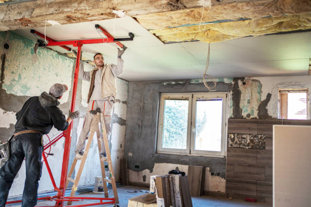 Best Spray Foam Insulation  in Westminster, CO