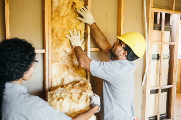 Best Local Insulation Services  in Westminster, CO